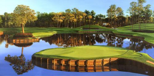 sawgrass17