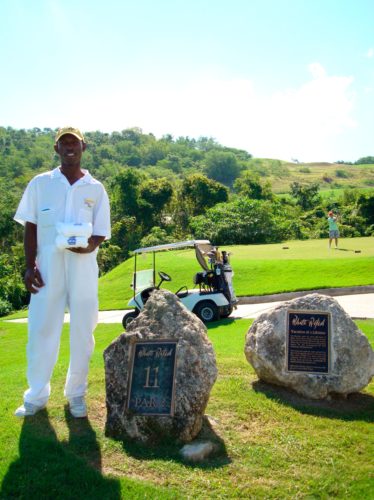 Fescher Caddy immer #1A45A9