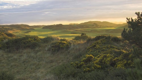 RoyalTroon