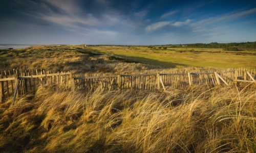 RoyalTroonUnknown-5