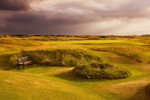 RoyalTroonUnknown-6