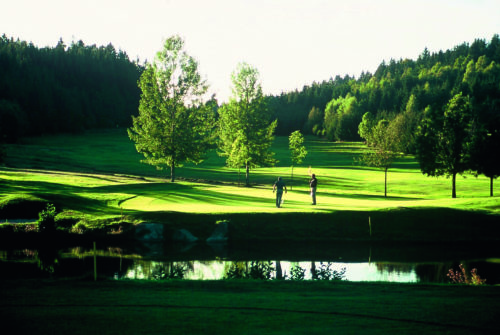 409 BÖHMERWALD NEU