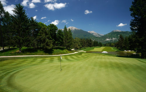 RoyalBledkings green6