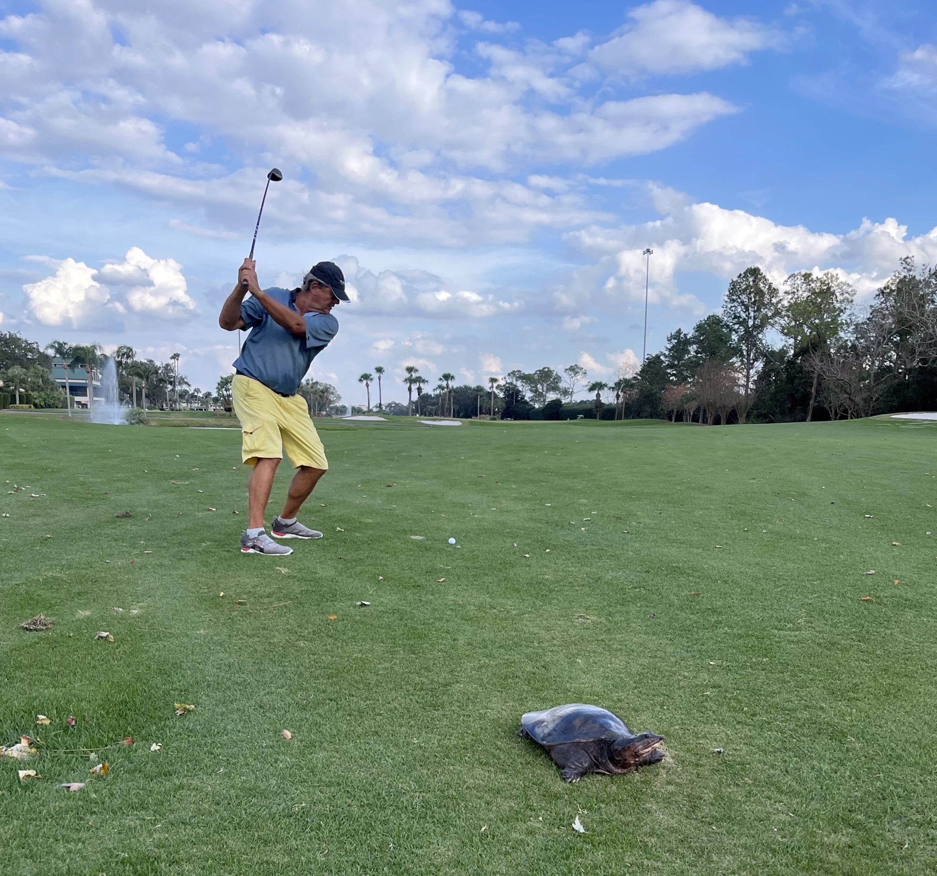 Die PGA Show in Orlando – das ist auch ein bisschen Golfspielen. Auch mit Schildkröten.