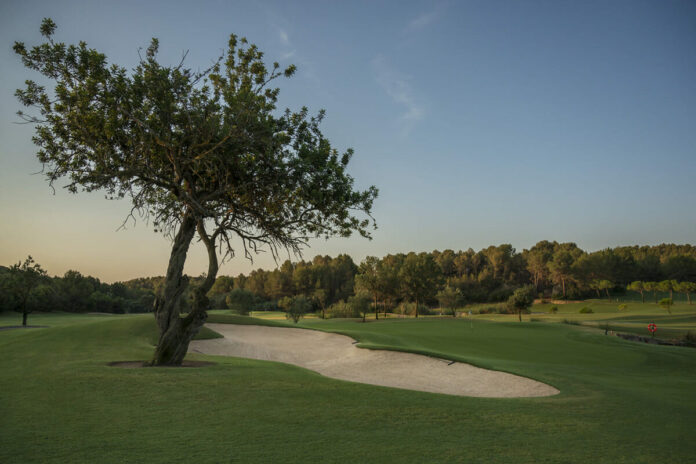 Golf Son Muntaner / Reisetipp Mallorca