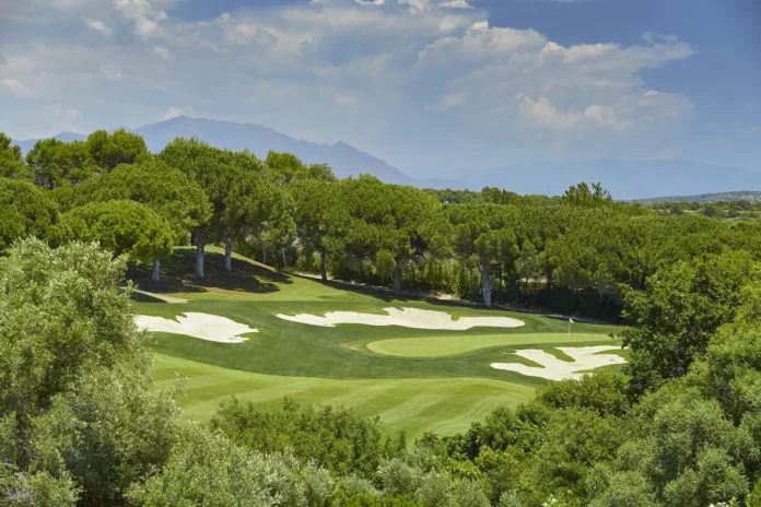 Valderrama 15th hole