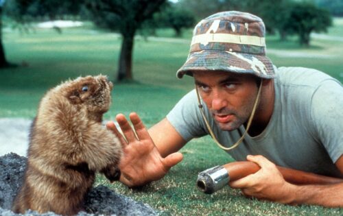 caddyshack