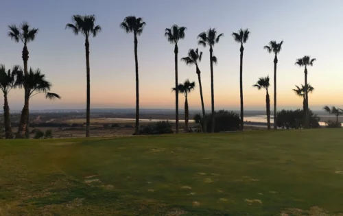 Flamingo golf