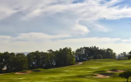 Golf Citrus