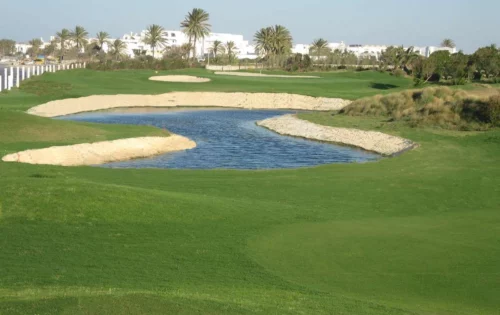 Golf Palm