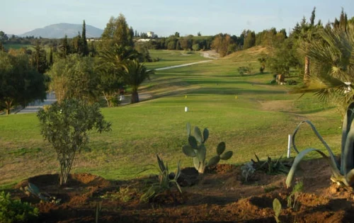 yasmine-golf-course