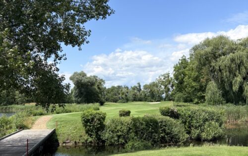 Groß (IMG_4355)