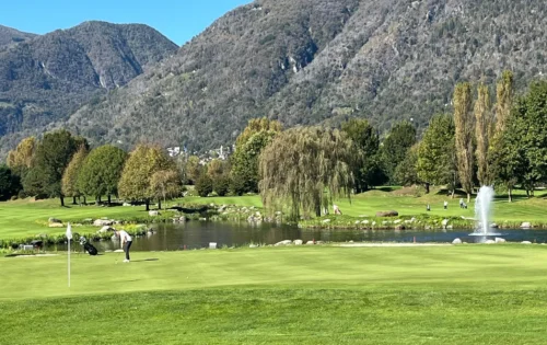 0a8e11e8-9739-4147-8787-54a7b50bc5df