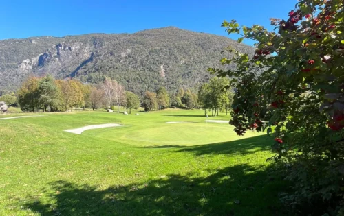 1acb146b-b0d7-4c13-9355-cf3a9b526c2b