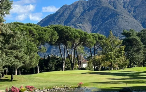 6c545f72-c2f9-4b3c-bfba-75959a247988