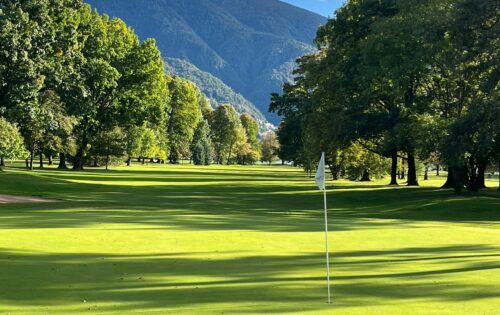 9d3b5e8e-2bc9-4d0f-b0a6-bf0675142c58