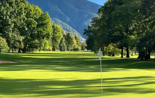 9d3b5e8e-2bc9-4d0f-b0a6-bf0675142c58