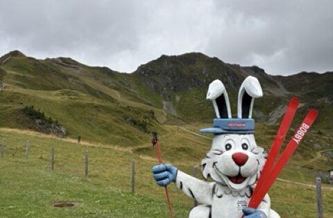 Mittel (IMG_8022)