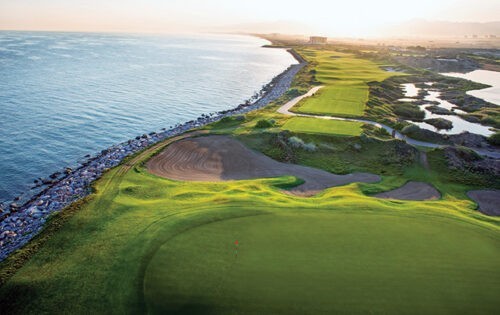 AlMoujGregNorman